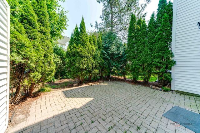115 Meadowbrook Lane 115, Lake Bluff, IL 60044