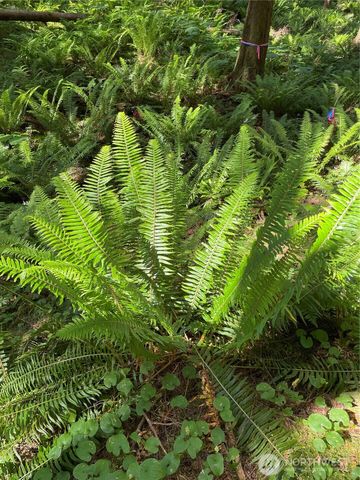 0 XXXXX S Shore Drive, Mount Vernon, WA 98274