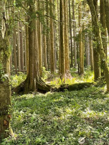 0 XXXXX S Shore Drive, Mount Vernon, WA 98274