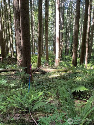 0 XXXXX S Shore Drive, Mount Vernon, WA 98274