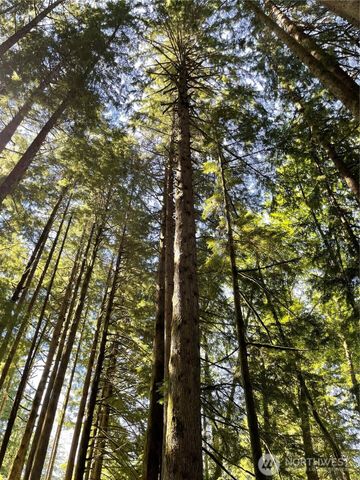 0 XXXXX S Shore Drive, Mount Vernon, WA 98274