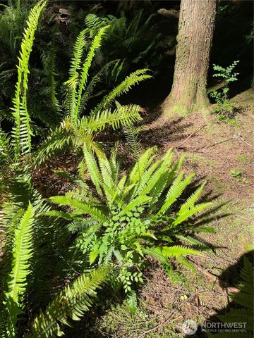 0 XXXXX S Shore Drive, Mount Vernon, WA 98274