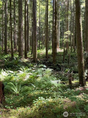 0 XXXXX S Shore Drive, Mount Vernon, WA 98274