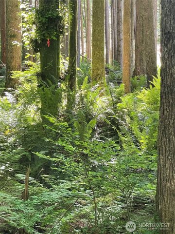 0 XXXXX S Shore Drive, Mount Vernon, WA 98274