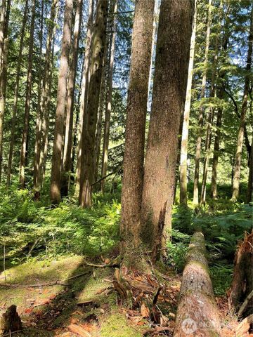 0 XXXXX S Shore Drive, Mount Vernon, WA 98274