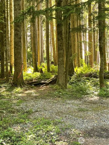 0 XXXXX S Shore Drive, Mount Vernon, WA 98274