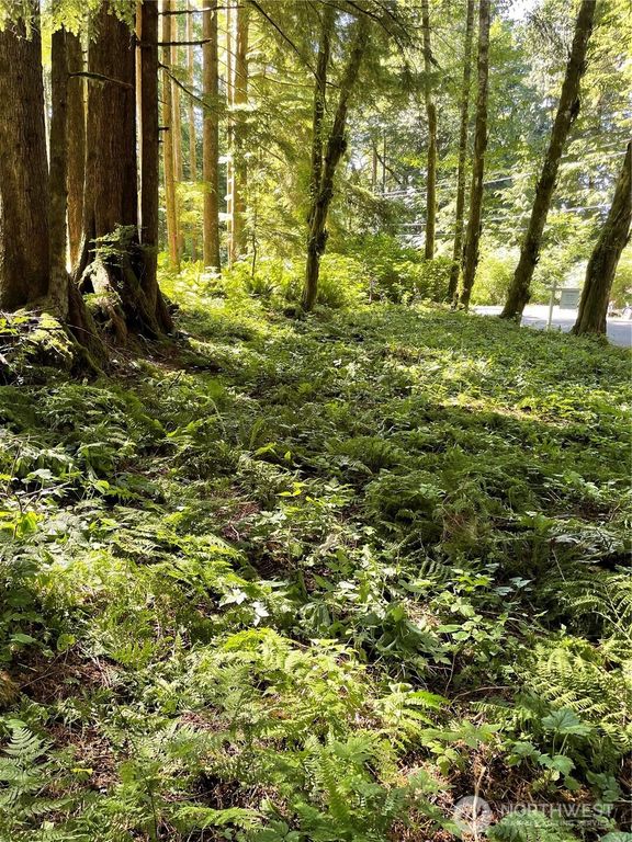 0 XXXXX S Shore Drive, Mount Vernon, WA 98274