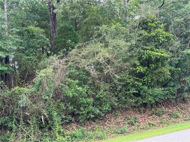 33586 Rosalia Avenue, Lillian, AL 36549