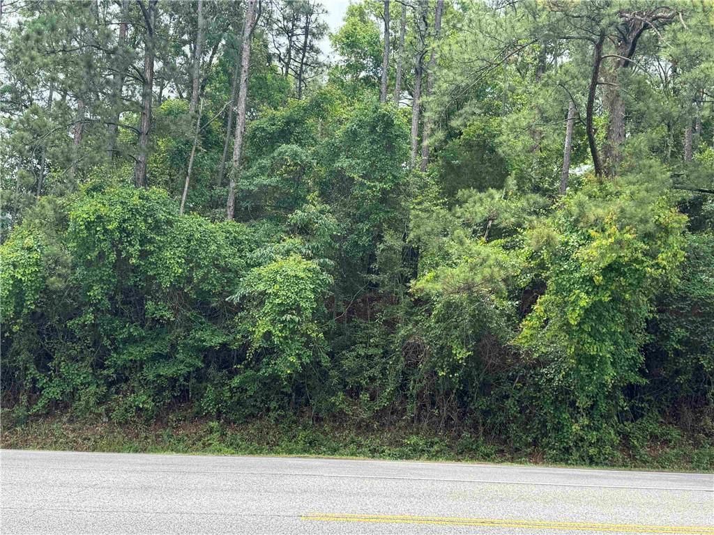 33586 Rosalia Avenue, Lillian, AL 36549