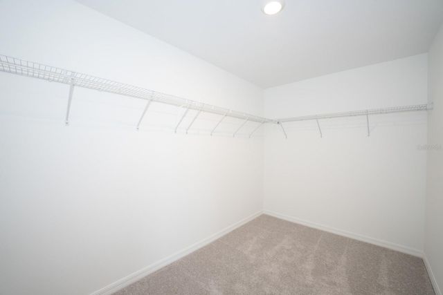 22430 BLAZING STAR, Land O Lakes, FL 34637