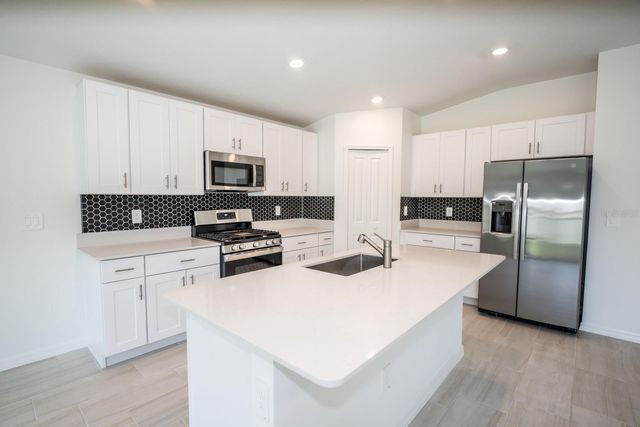 22430 BLAZING STAR, Land O Lakes, FL 34637