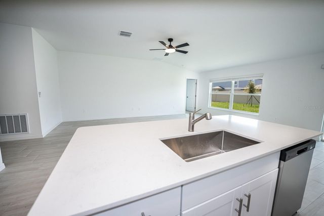 22430 BLAZING STAR, Land O Lakes, FL 34637