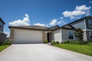 22430 BLAZING STAR, Land O Lakes, FL 34637