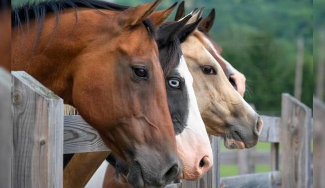 30100 Los Alamos, Murrieta, CA 92563