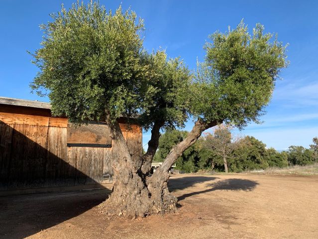 30100 Los Alamos, Murrieta, CA 92563