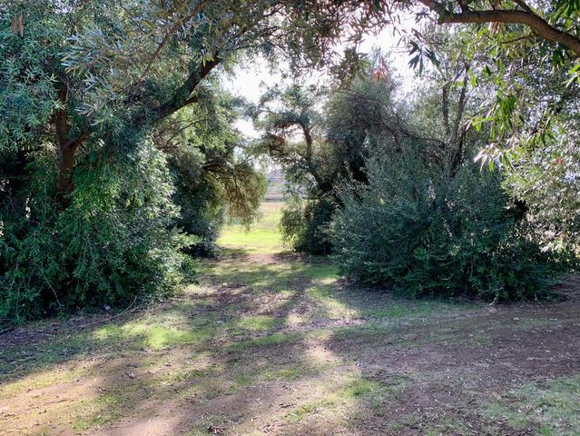 30100 Los Alamos, Murrieta, CA 92563