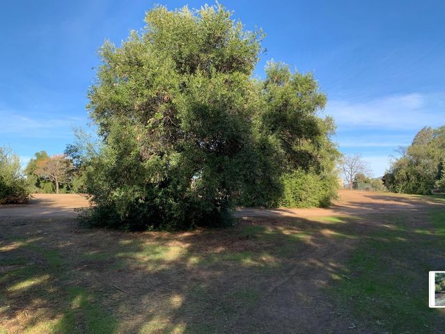 30100 Los Alamos, Murrieta, CA 92563