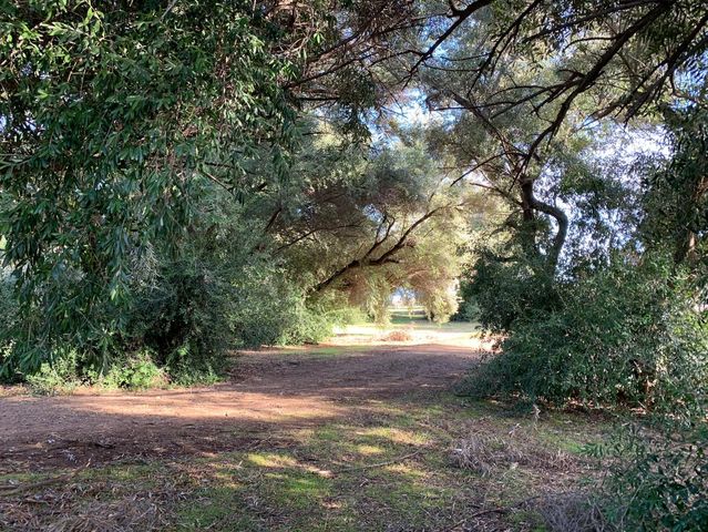 30100 Los Alamos, Murrieta, CA 92563