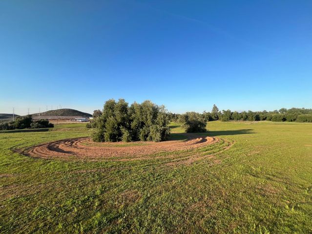 30100 Los Alamos, Murrieta, CA 92563