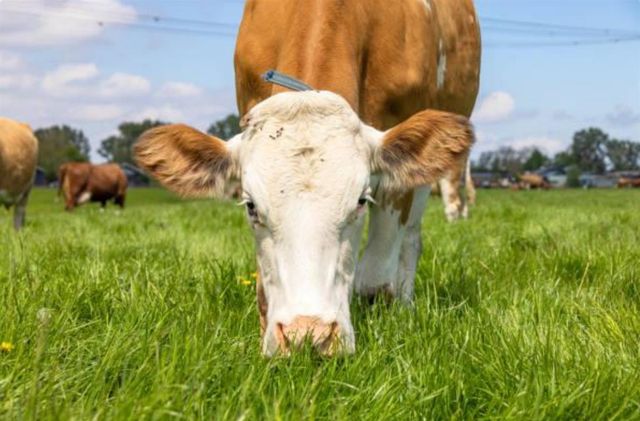 30100 Los Alamos, Murrieta, CA 92563