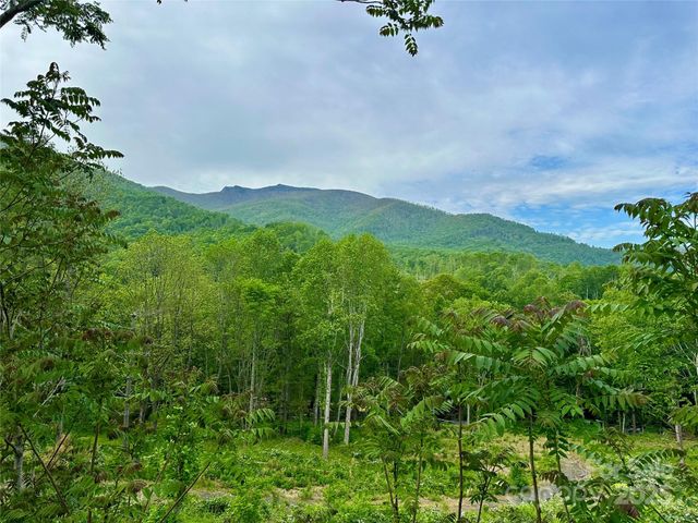 000 Pumpkin Patch Road, Bakersville, NC 28705
