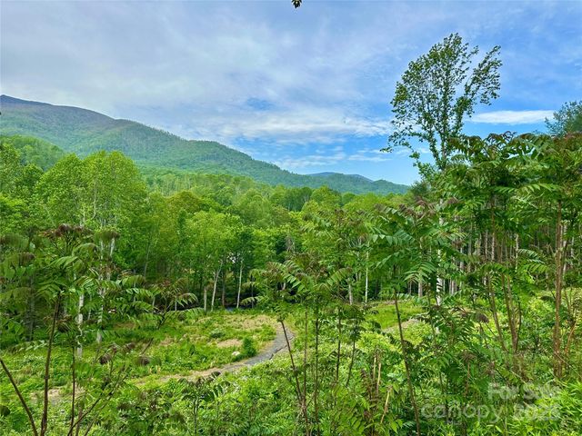 000 Pumpkin Patch Road, Bakersville, NC 28705