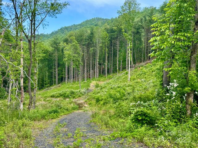 000 Pumpkin Patch Road, Bakersville, NC 28705