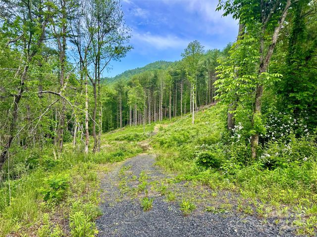 000 Pumpkin Patch Road, Bakersville, NC 28705