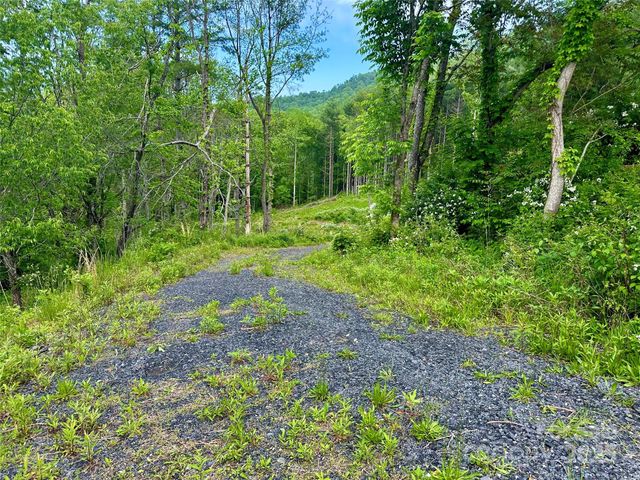 000 Pumpkin Patch Road, Bakersville, NC 28705