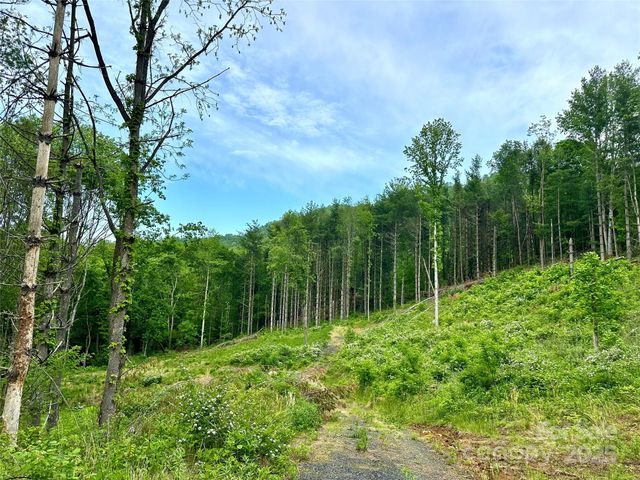 000 Pumpkin Patch Road, Bakersville, NC 28705