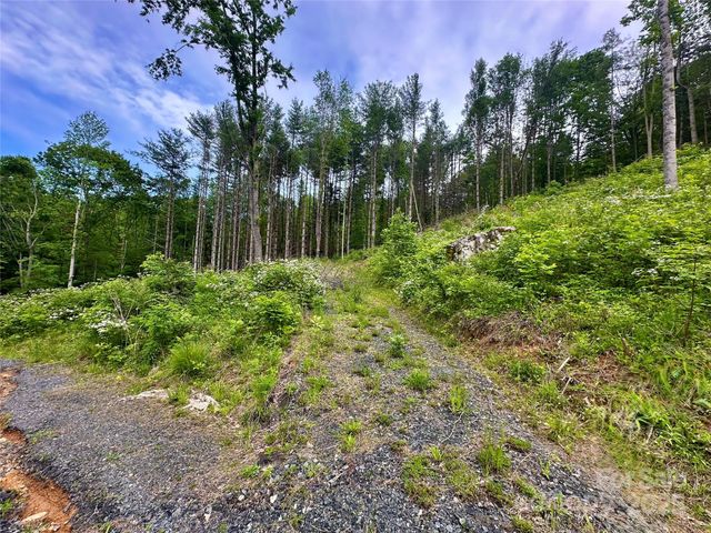 000 Pumpkin Patch Road, Bakersville, NC 28705