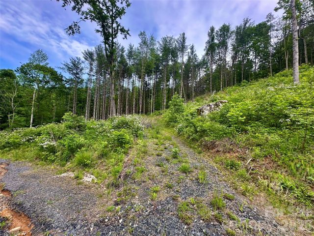 000 Pumpkin Patch Road, Bakersville, NC 28705