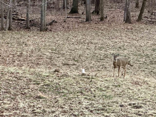 E2573 S Dutch Hollow Road, La Valle, WI 53941