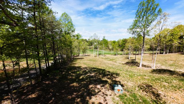 Lot 25 Pointe O Woods DR, Huddleston, VA 24104