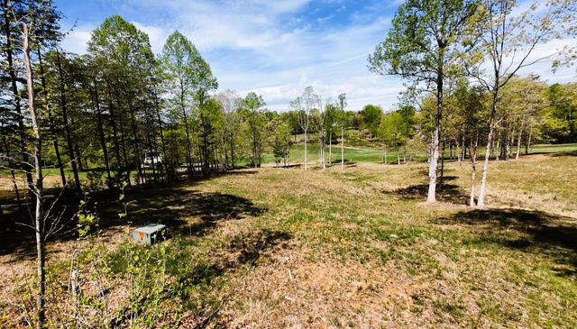 Lot 25 Pointe O Woods DR, Huddleston, VA 24104