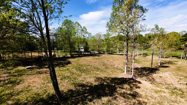 Lot 25 Pointe O Woods DR, Huddleston, VA 24104