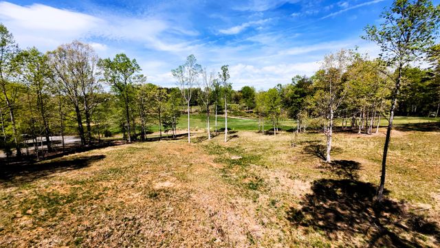Lot 25 Pointe O Woods DR, Huddleston, VA 24104