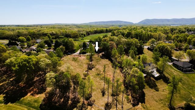Lot 25 Pointe O Woods DR, Huddleston, VA 24104
