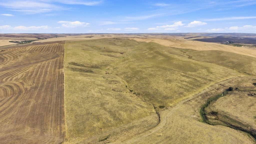XX Bowen Rd, Lamont, WA 99017 photo 4
