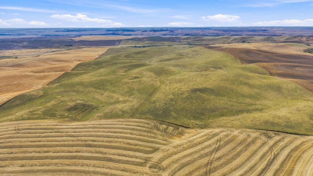XX Bowen Rd, Lamont, WA 99017 photo 5