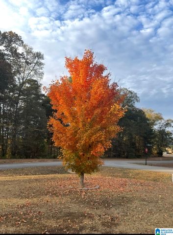 115 LANDS END ROAD, Lincoln, AL 35096