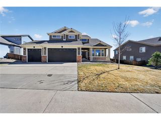 593 Kryptonite Dr, Castle Rock, CO 80108