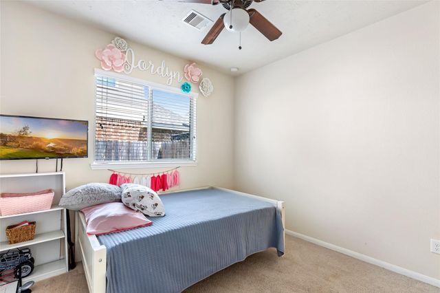 13602 Kodiak Brown Bear Street, Crosby, TX 77532