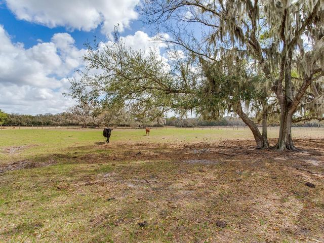 0 S CR 39, Lithia, FL 33547