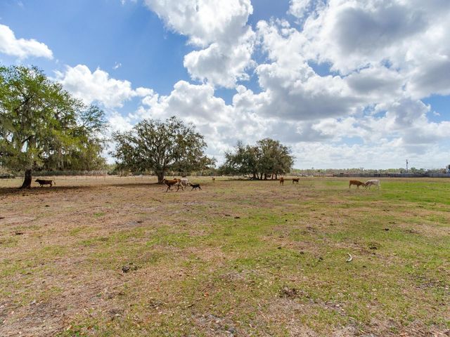 0 S CR 39, Lithia, FL 33547