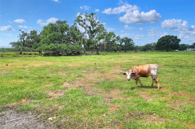 0 S CR 39, Lithia, FL 33547