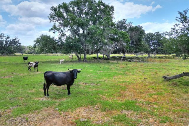 0 S CR 39, Lithia, FL 33547