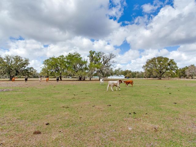 0 S CR 39, Lithia, FL 33547