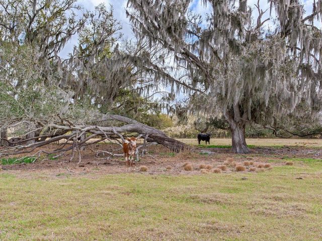 0 S CR 39, Lithia, FL 33547