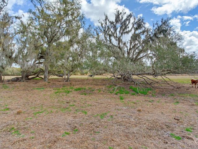 0 S CR 39, Lithia, FL 33547